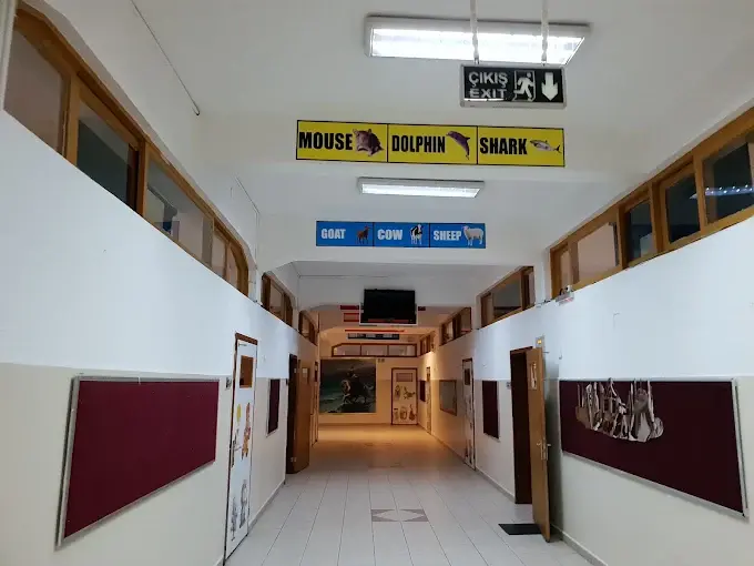 Kurum görseli