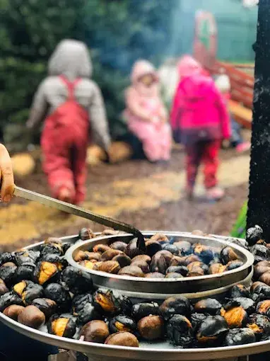 Kurum görseli