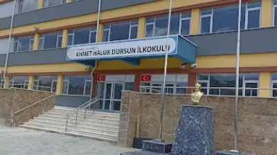 Ahmet Haluk Dursun İlkokulu