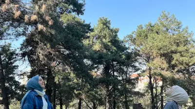 Özel Tuzla Beyaz Tomurcuk Anaokulu