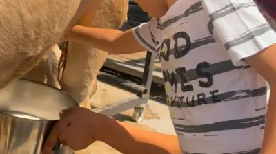 ÖZEL KAĞITHANE BERA DOĞA ANAOKULU