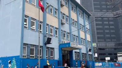 EMİNE SEVİYE DİVRİK İLKOKULU