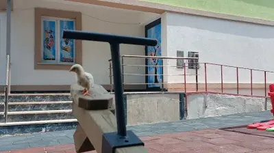 Silivri Şirin Yuvam Anaokulu