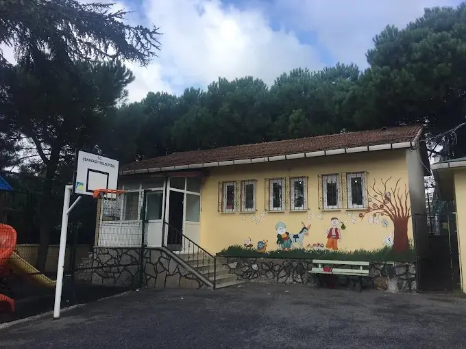 Kurum görseli