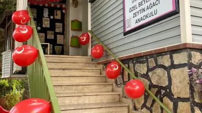 Beylikdüzü Zeytin Ağacı Montessori Anaokulu