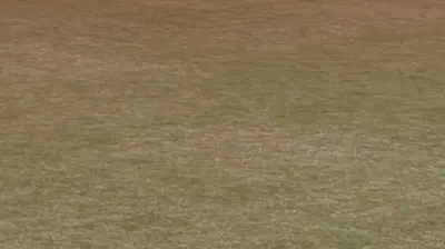 Beşiktaş Futbol Okulu Çakmak