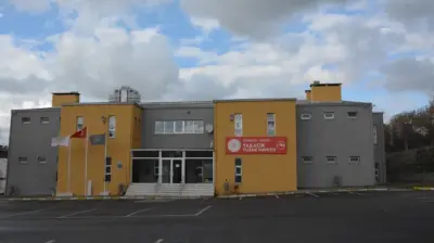 Kartal Yüzme Havuzu Teknik Yüzme Su Sporları Kulübü
