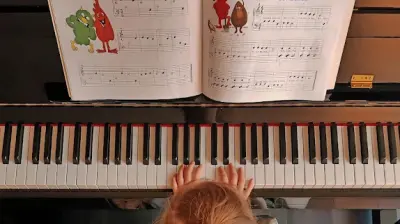 TC MEB Analog Müzik Atölyesi