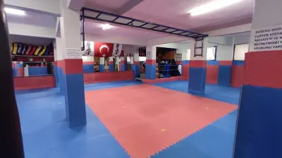Altın Spor Kulübü