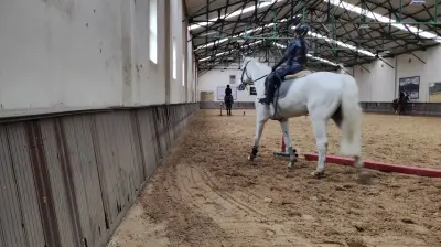 İstanbul Atlı Spor Kulübü