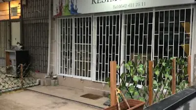 Tulin Kanun Resim Atölyesi