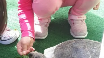 Yaratıcı Çocuk Anaokulu