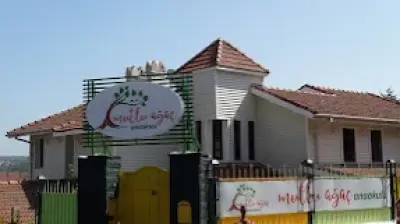 Mutlu Ağaç Anaokulu