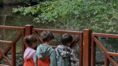 Özel Mini Koza Anaokulu