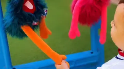 Özel Piti Piti Anaokulu