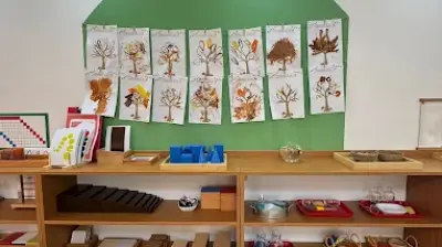 Mavera Montessori Anaokulu