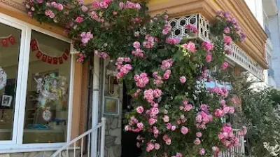 Özel Parlak İnciler Anaokulu