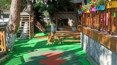 Meraklı Kirpi Anaokulu