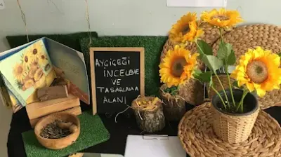 Özel Flora Anaokulu