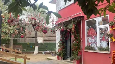 Özel Kartal Uzakdoğu Koleji Anaokulu