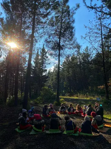 Kurum görseli