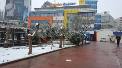 Tekden Koleji İstanbul Küçükyalı