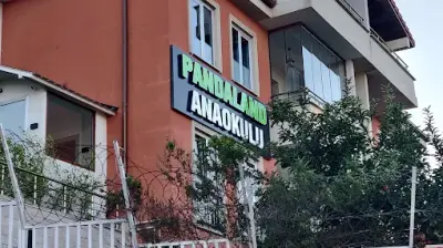 Kurtköy Pandaland Anaokulu