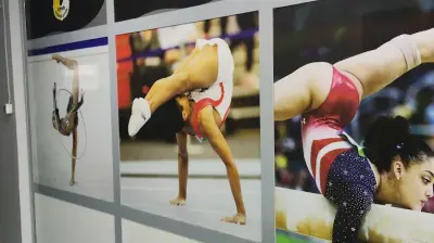 Avrupa Spor Cimnastik