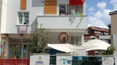 Özel Minik Abaküs Anaokulu