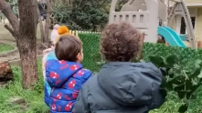 Özel Cansın Preschool Anaokulu