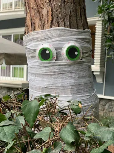 Kurum görseli