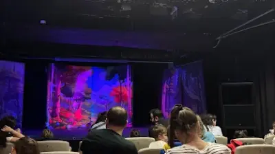 Akasya Kültür Sanat
