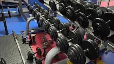 Yankı Gym