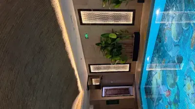 Avrupa Yüzme Kursu - Bakırköy