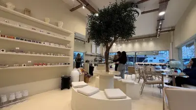 Fancy Social House