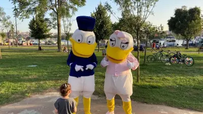 Tektir organizasyon