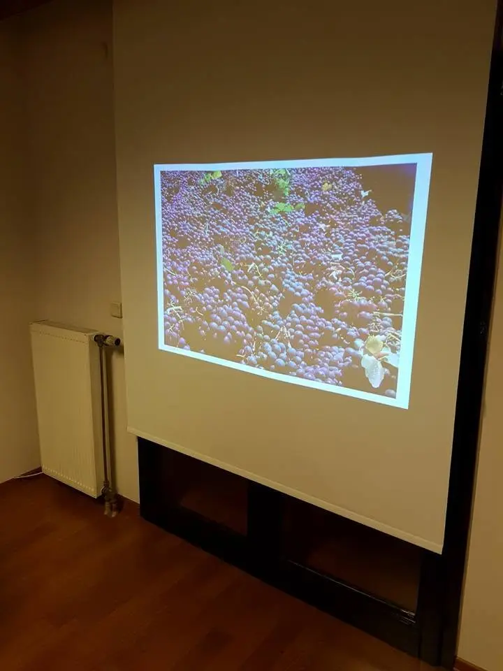 Kurum görseli