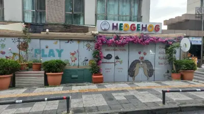 Hedgehog Atölye