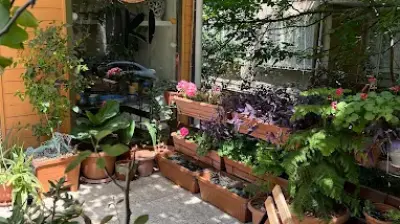 İİKİ Seramik Atölyesi