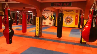 Alp Kin-Do Wushu Kung-fu ihtisas