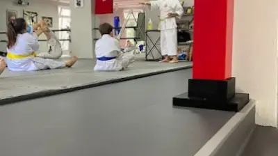 Melek Koşar Karate-Do Akademi ( KAPALI )