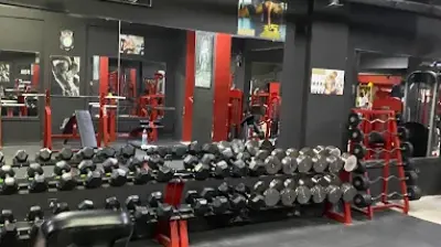 Herkül Fight Club