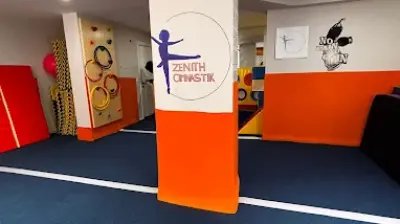 Zenith Akademi