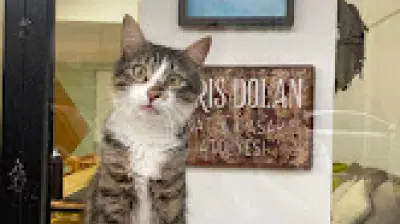 Barış Dolan Sanat ve Tasarım Atölyesi