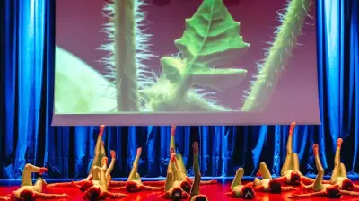 Kristal jimnastik Kulübü Rus antrenörlerden dersler