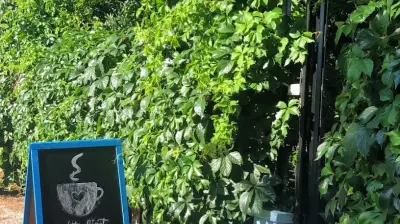 Minty Studio&Cafe
