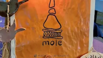 Mole Design Studios Seramik ve Sanat Atölyesi