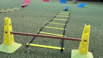 Zippy Organizasyon