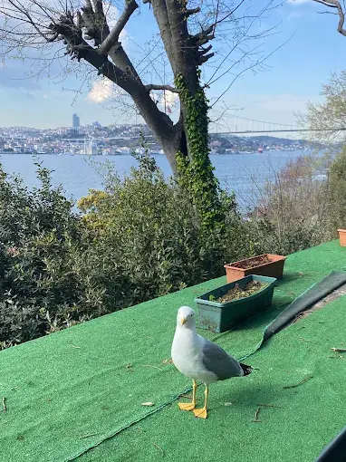 Kurum görseli