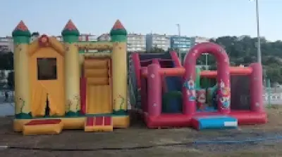 Gölge Organizasyon